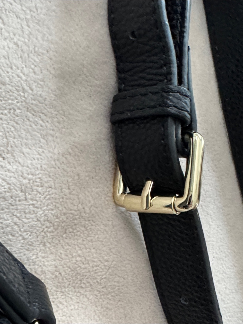 Bandolier Black Pebbled Leather Crossbody Bag - Picture 3 of 9
